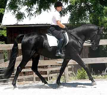 outdoor arena